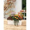 Lechuza Balconera Color 50 balkonbak wit 8L set