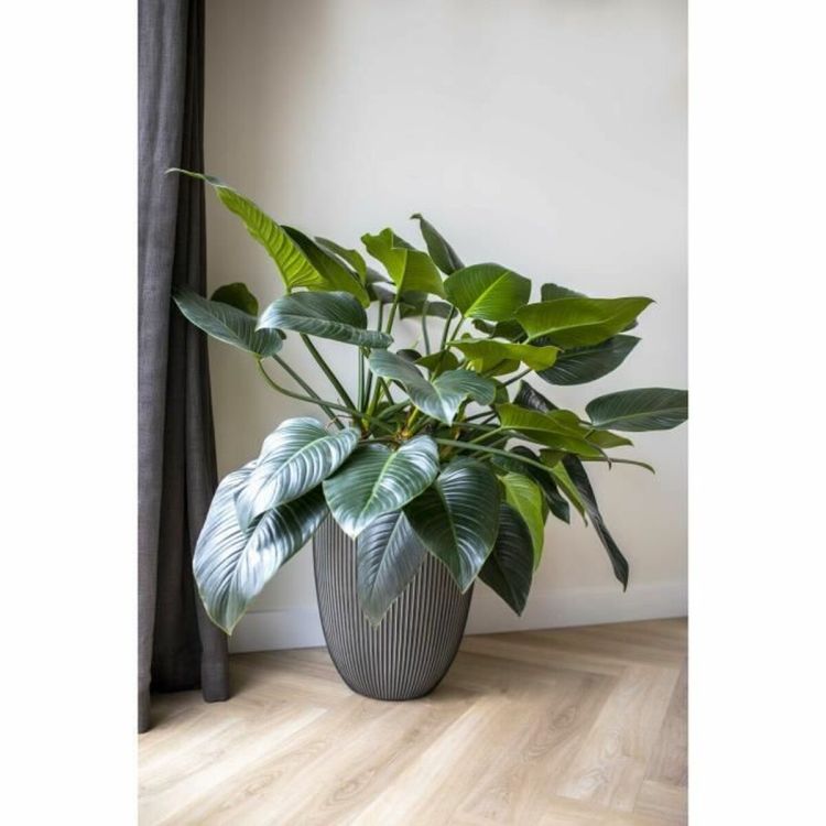 Capi Europe Vase Elegant Low Groove NL anthracite Ø46 x H58 cm 66L