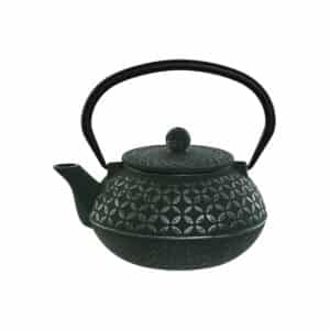 Theepot Home ESPRIT Zwart Groen Roestvrij staal Ijzer 900 ml | Huisbest.nl