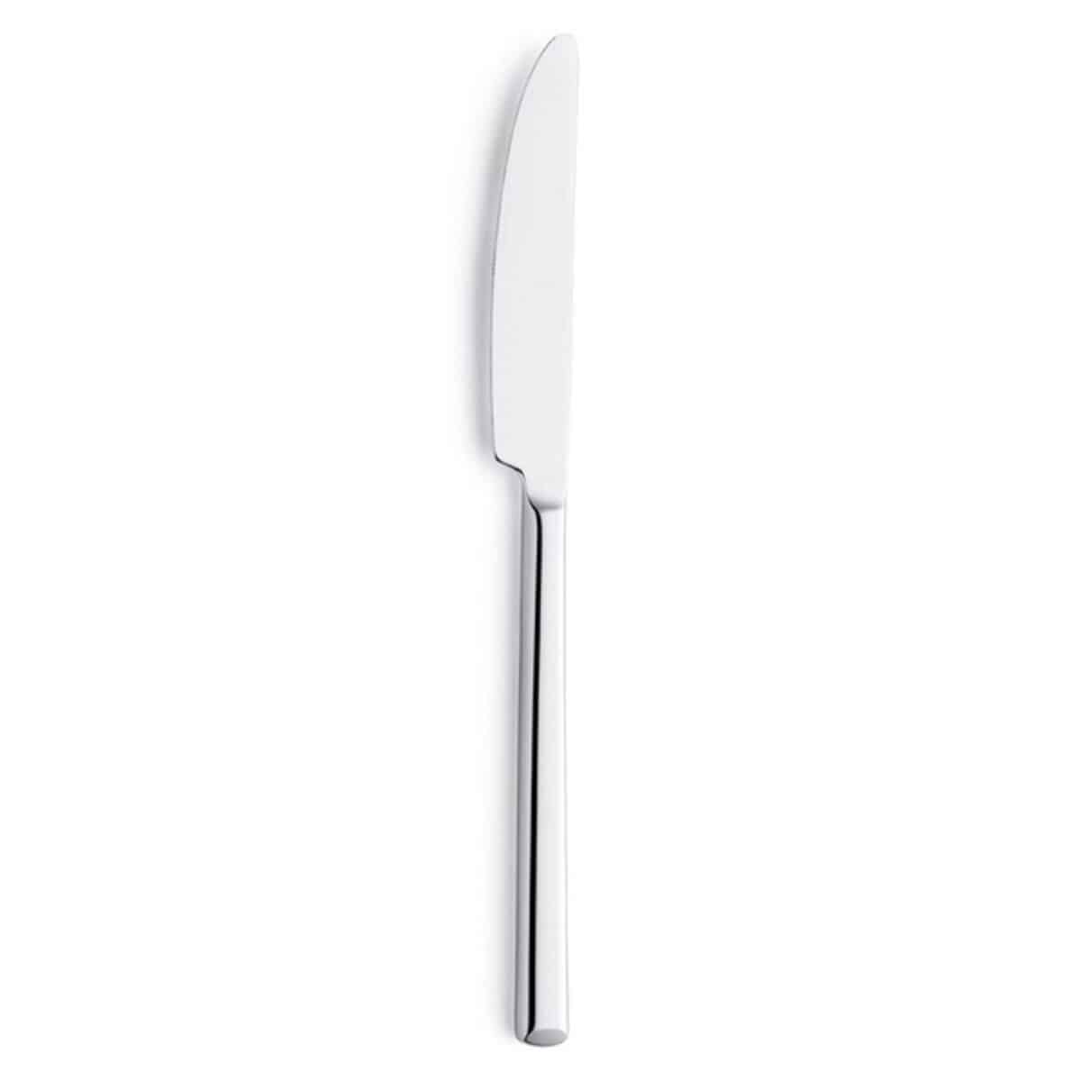 Messen Set Amefa Metropole Metaal 21 cm 12 Stuks | Huisbest.nl