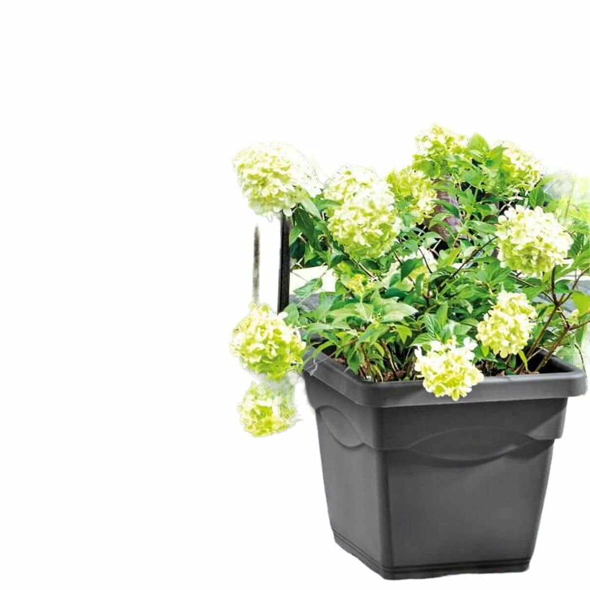 Bloempot Deroma Vierkant Antraciet Geïnjecteerde Ø 38 cm | Huisbest.nl