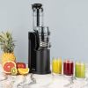 H.Koenig GSX16 slowjuicer 0,8L 250W zwart RVS