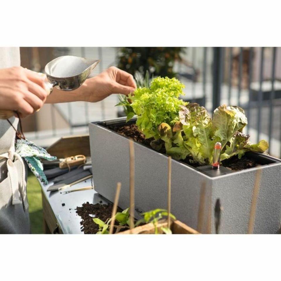 LECHUZA BALCONERA Stone 50 self-watering balcony planter gray