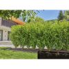 Gardena Micro-Drip Hedge/Shrub Set, 50 m, 13 mm
