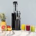 H.Koenig GSX16 slowjuicer 0,8L 250W zwart RVS