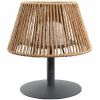 Lumisky Standy Mini Raffy wireless LED table lamp
