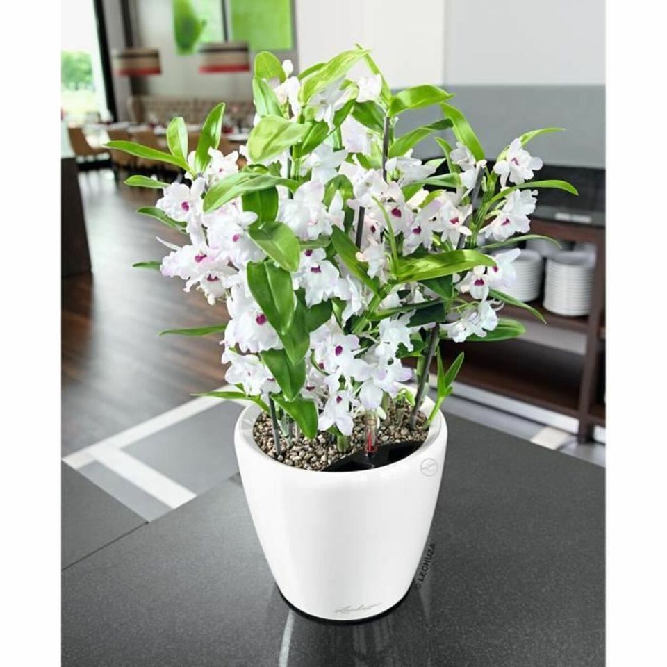 LECHUZA CLASSICO Premium LS 21 planter white high gloss
