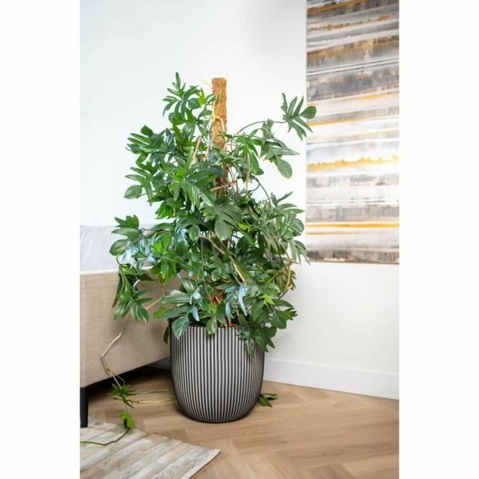 Capi Europe Pot Bol Groove NL anthracite Ø43 x H41 cm