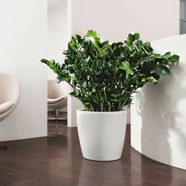 Lechuza Classico Color 43 self-watering flower pot white