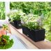 Lechuza Balconera Cottage 50 balkonbak zwart 8L