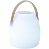 Lumisky Mini May Play bluetooth speakerlamp LED wit