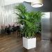 Lechuza Cube Premium 40 zelfwaterende plantenbak wit
