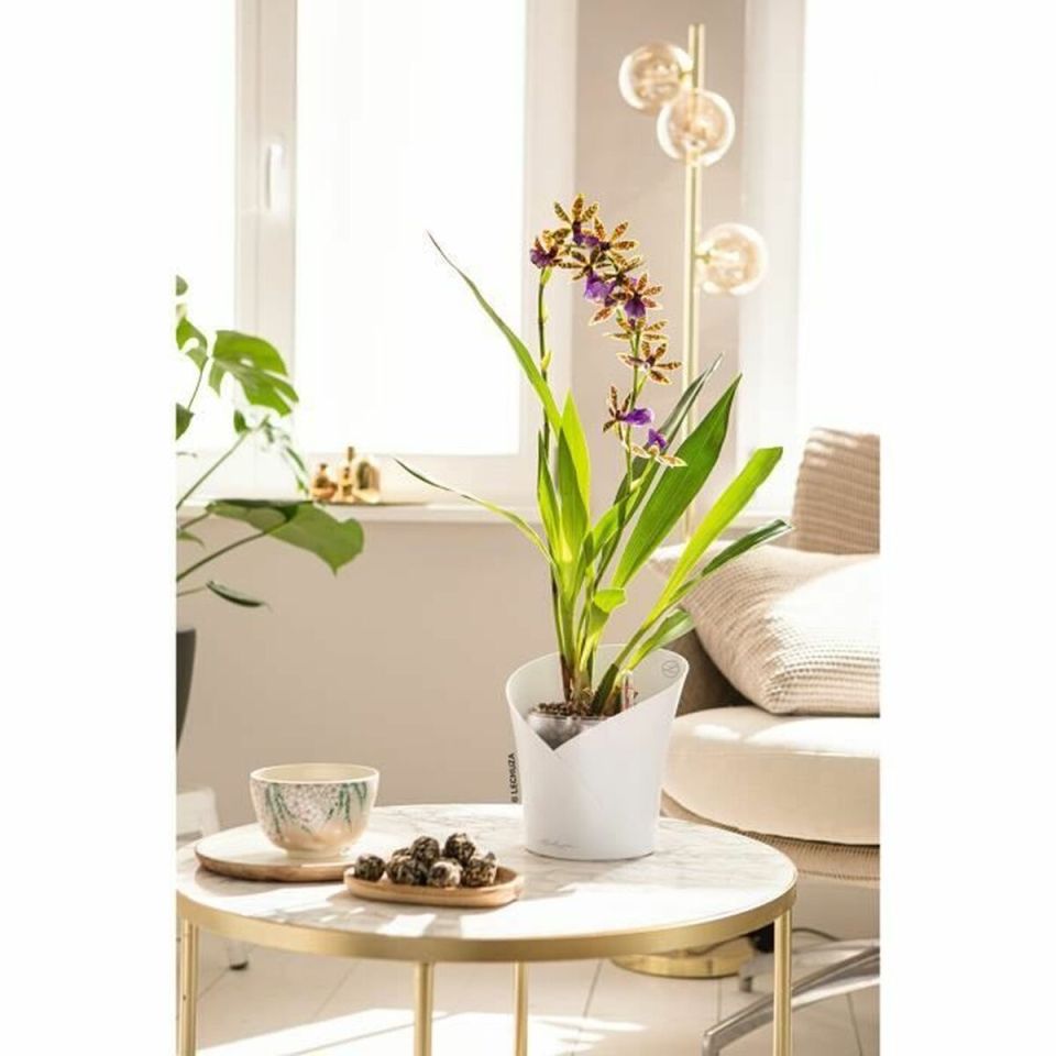 Lechuza ORCHIDEA orchideeënpot wit met bewatering