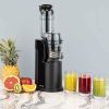 H.Koenig GSX16 slowjuicer 0,8L 250W zwart RVS