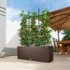 Lechuza Trio Cottage 30 Flower Pot