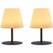 Lumisky TWINS set 2 draadloze LED tafellampen grijs