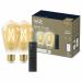 WiZ ST64 slimme filamentlamp E27 met remote (2 stuks)