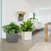 Lechuza Cube Premium 40 zelfwaterende plantenbak wit