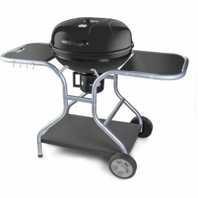 Fieldmann FZG 1014 charcoal barbecue 54 cm with lid