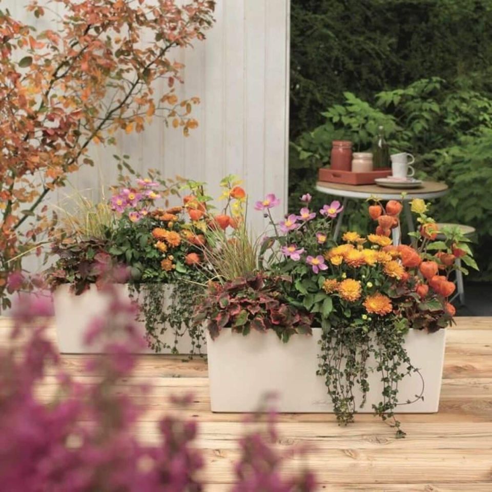 Lechuza Balconera Color 50 balkonbak wit 8L set