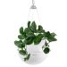 LECHUZA BOLA Color 32 hanging pot white self-watering