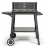 Livoo DOC328 charcoal barbecue with adjustable height