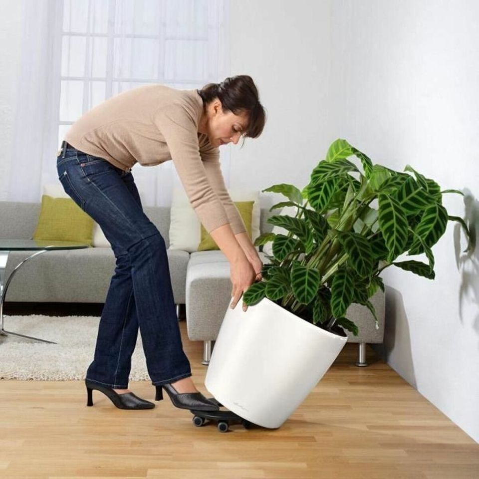 LECHUZA Classico Premium 50 LS plantenbak wit