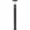 Brilliant Tulip LED buitenvloerlamp solar zwart 92 cm 3W G40412/06