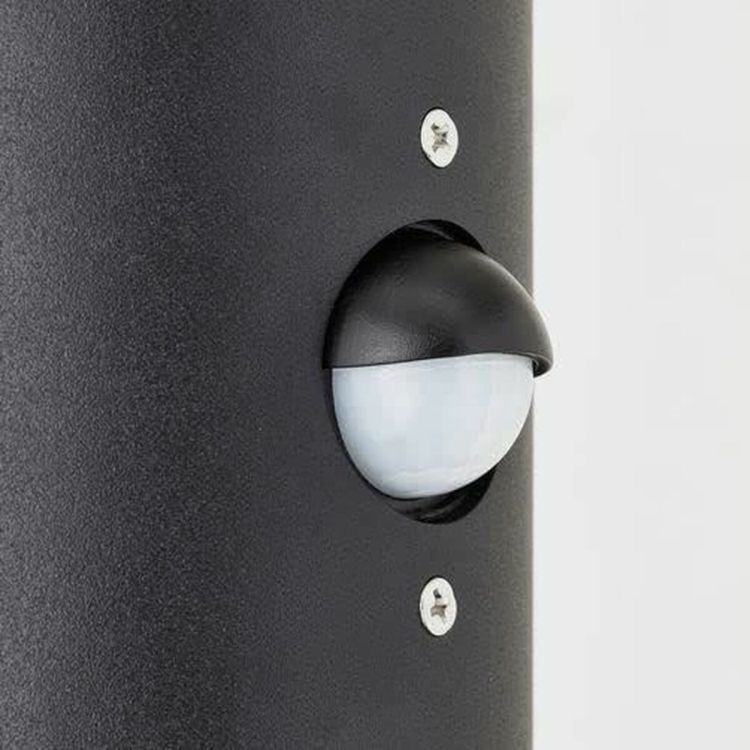 Brilliant Sergioro 96474/63 outdoor wall light black with motion sensor IP44 2xE27