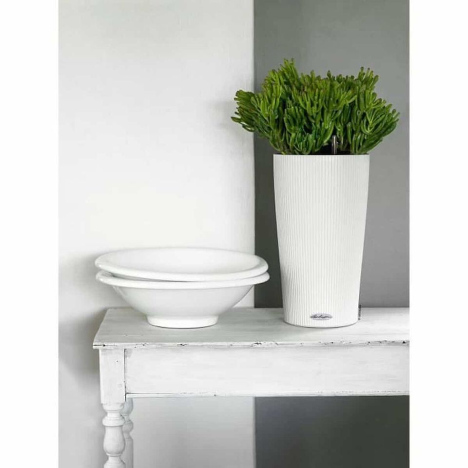 Lechuza CILINDRO Color 23 plantenbak wit 5,5L set