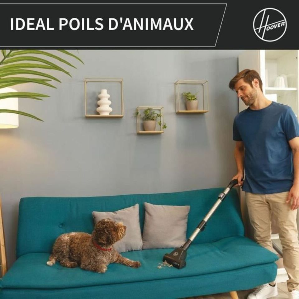 Hoover HP321PAF stofzuiger 850W zwart/grijs