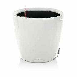 Flower pot Lechuza | Huisbest.nl