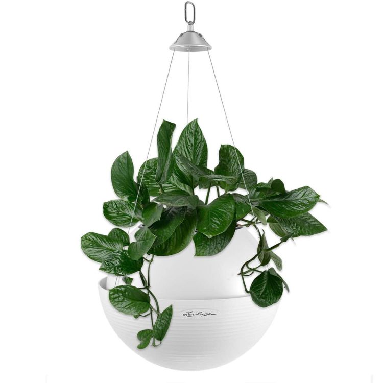 LECHUZA BOLA Color 32 hangpot wit zelfwaterend