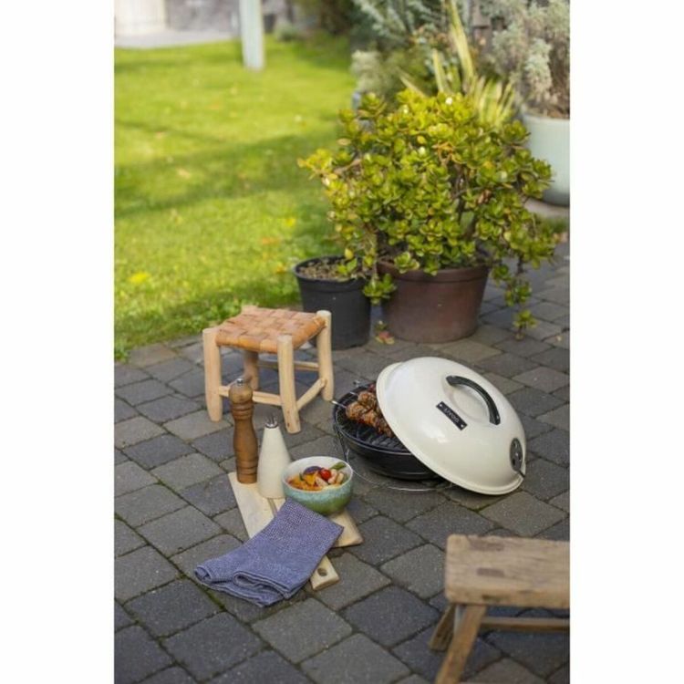Livoo DOC301 draagbare houtskoolbarbecue 34 cm
