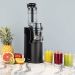 H.Koenig GSX16 slowjuicer 0,8L 250W zwart RVS