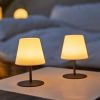 Lumisky TWINS set 2 draadloze LED tafellampen grijs