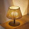 Lumisky Standy Mini Raffy wireless LED table lamp