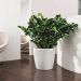 Lechuza Classico Color 43 self-watering flower pot white