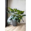 Capi Europe Vase Elegant Low Groove NL anthracite Ø46 x H58 cm 66L
