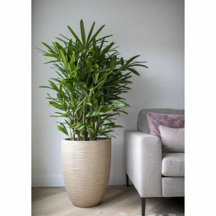 Capi Europe Vase Elegant Low Waste Rib NL terrazzo beige 46×58 cm 66L