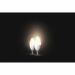 Philips Hue White candle lamp E14 470 lumens (2pcs)