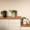 Livoo MES154C keukencompostemmer 6L met koolfilter
