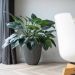 Capi Europe Vase Elegant Low Groove NL anthracite Ø46 x H58 cm 66L