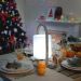 Lumisky Woody rechargeable LED table lamp dimmable IP44 H39cm