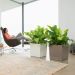 Lechuza Cube Premium 40 zelfwaterende plantenbak wit