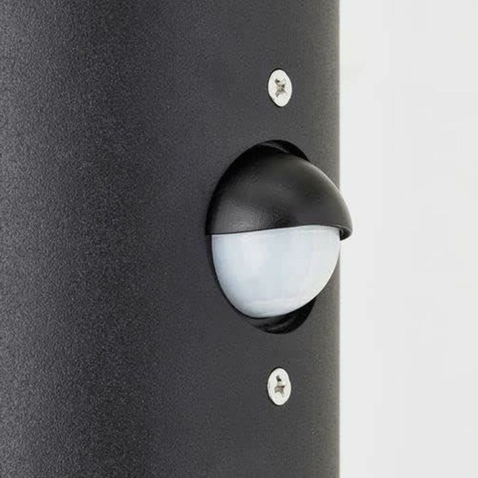 Brilliant Sergioro 96474/63 outdoor wall light black with motion sensor IP44 2xE27