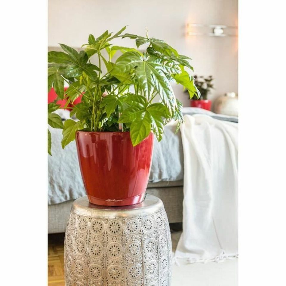 Lechuza Classico Premium LS 21 flower pot red 3L set