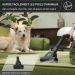 Hoover HE120PET 011 stofzuiger zwart/grijs 700W