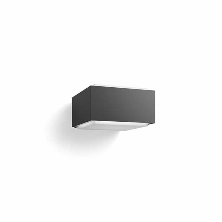 Philips Hedgehog buitenwandlamp antraciet E27 IP44