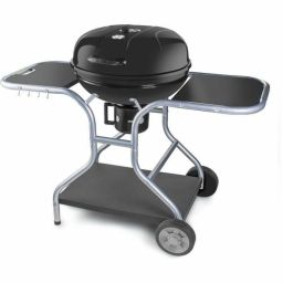 Fieldmann FZG 1014 charcoal barbecue 54 cm with lid